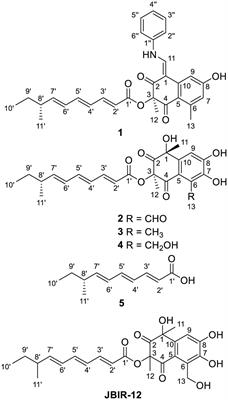 Aniline-induced production of aniline-containing polyketides and related bicyclic polyketides by the Yellow River wetland-derived fungus Talaromyces funiculosus